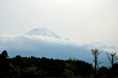 湖岸からの富士