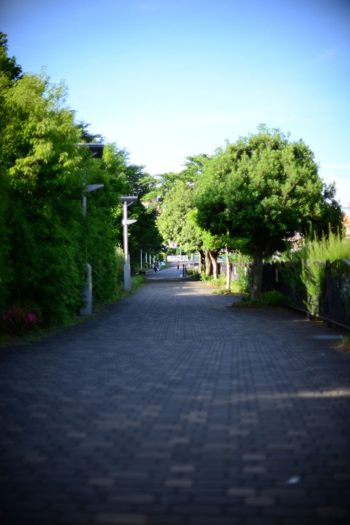 絞開放・無限遠