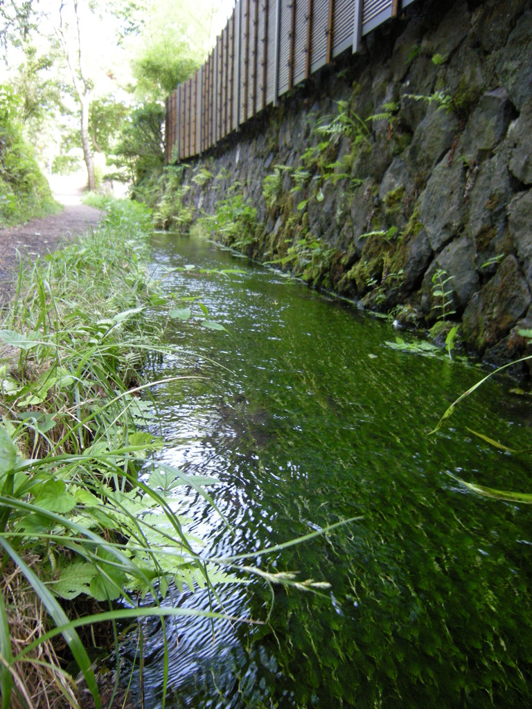 忍野八海