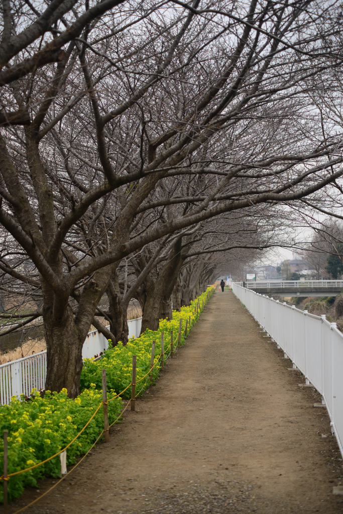 オシャレは足元から
