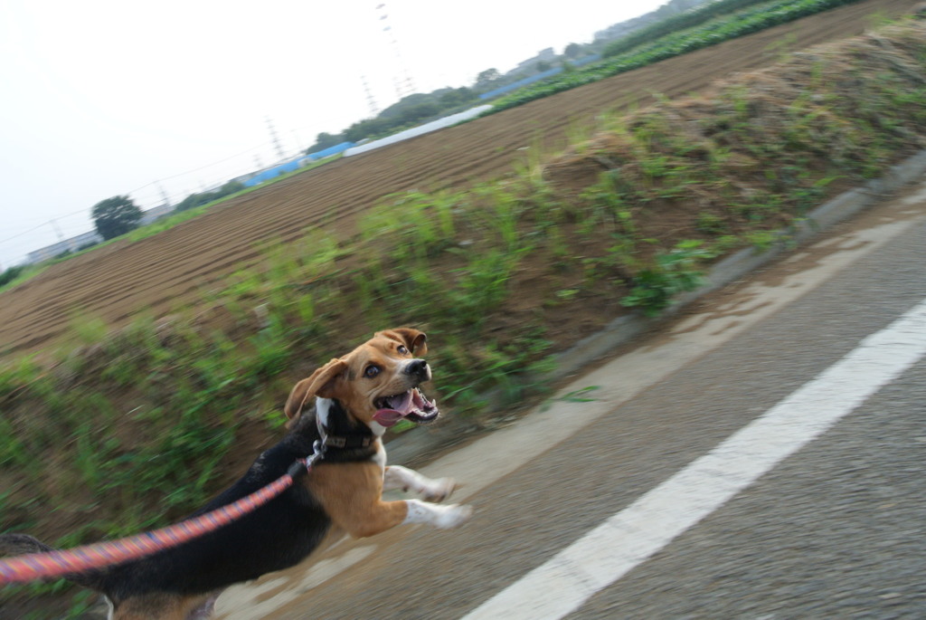 またやっちゃった