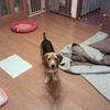 クロさんの悪行その壱