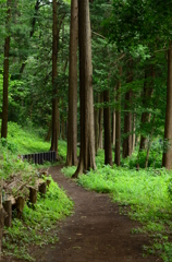 東山ふれあい樹林