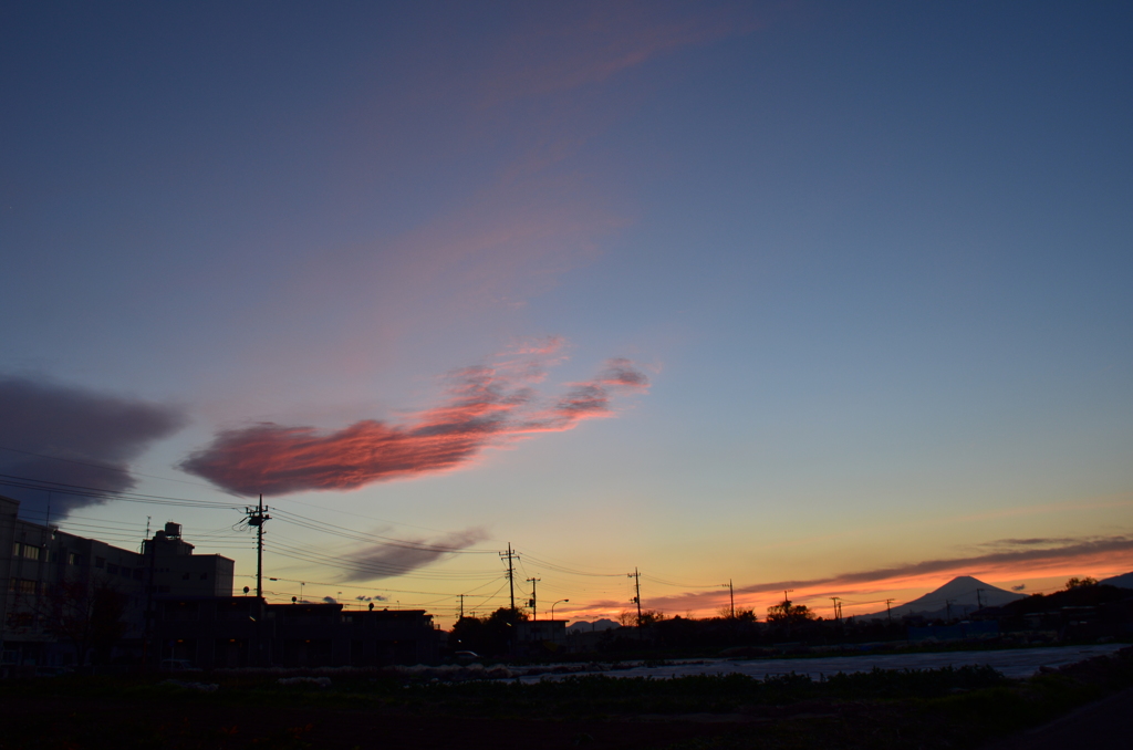 紅色に染まる