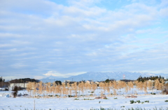 和泉町雪景色_壱