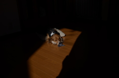 眠い