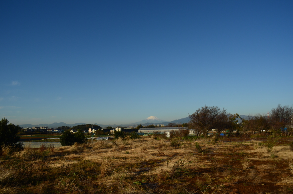 富士山_2013.11.29