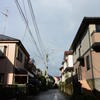雨上がりのプレゼント