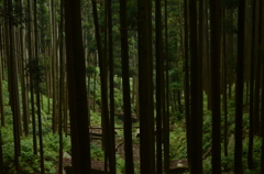 鉄格子