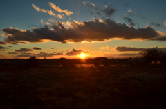 evening_③