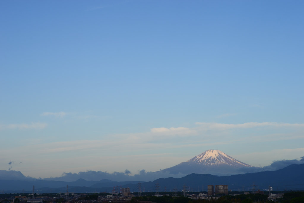 朝