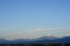 朝