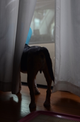 外