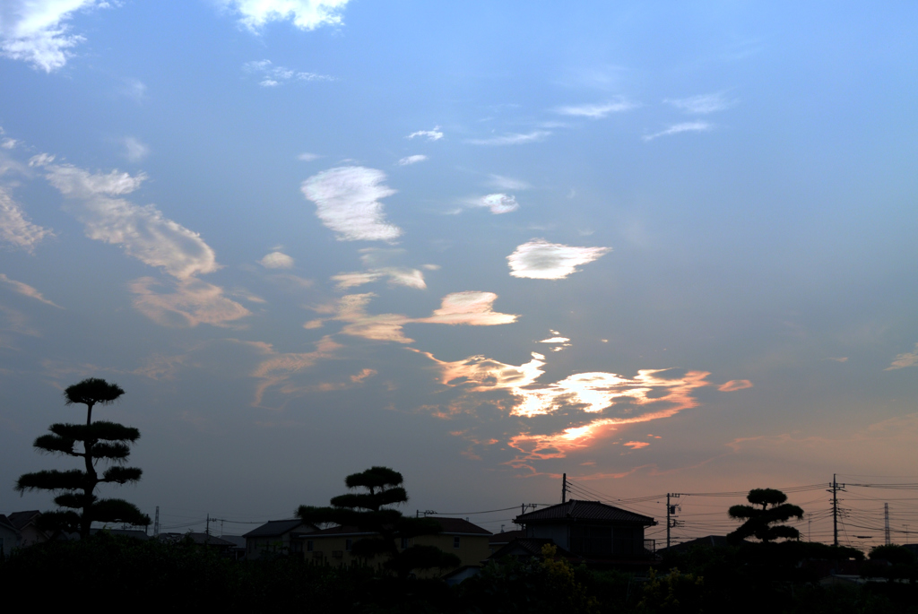 朝