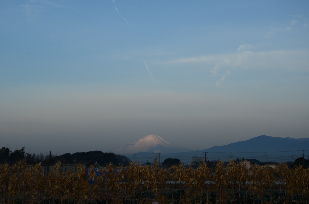 朝富士