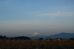 朝富士