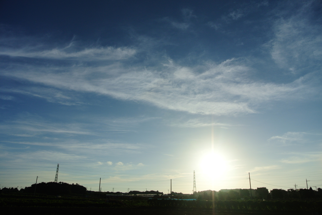 平和な朝