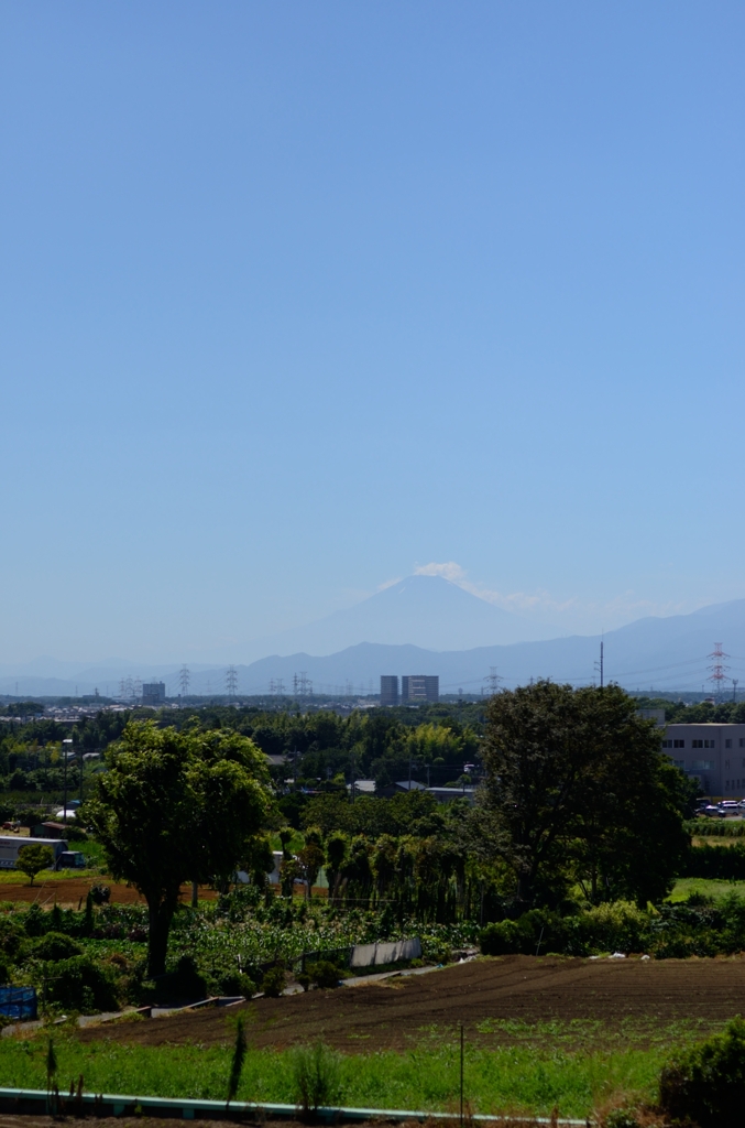 富士山・真昼の和泉町から
