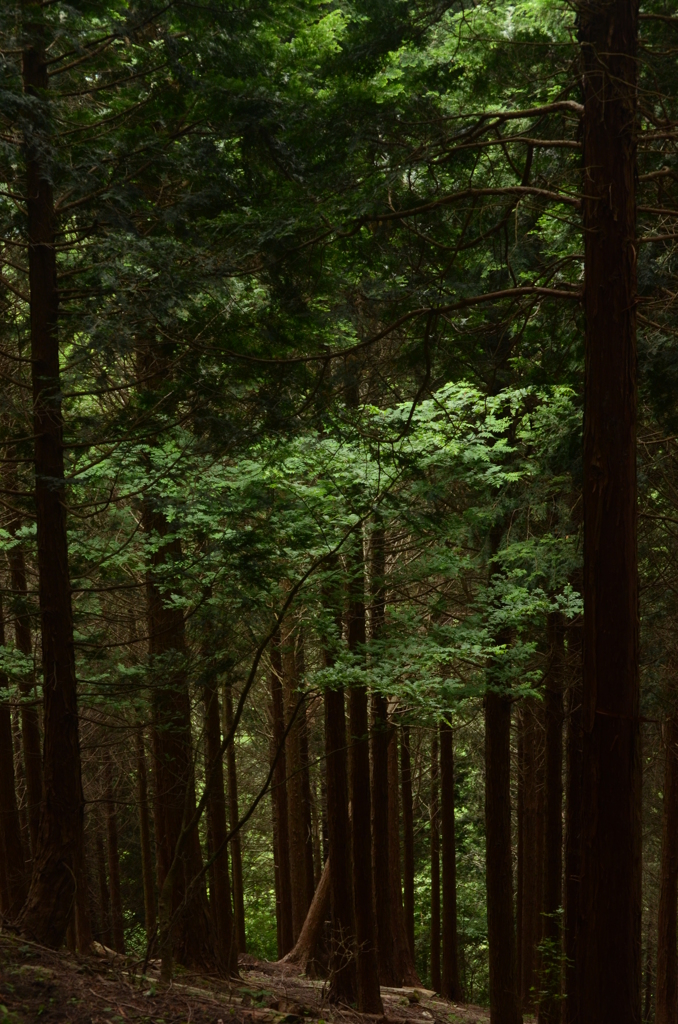 下山
