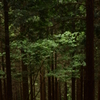 下山