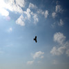 大空高く