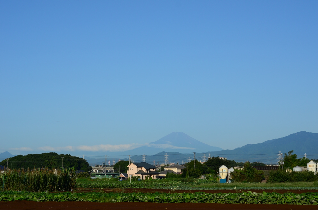 ここは横浜
