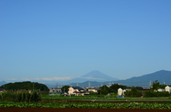 ここは横浜