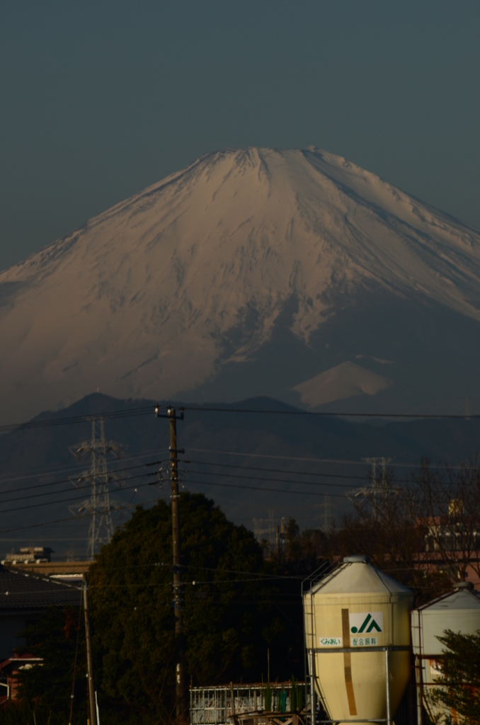 富士の参