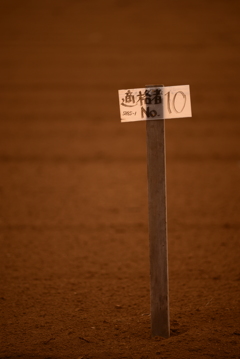 No.10