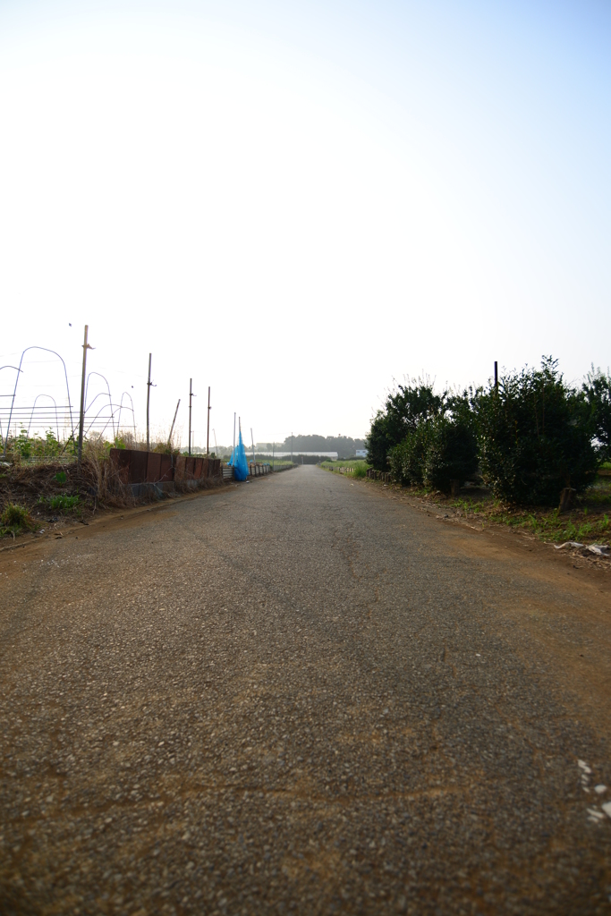 私達の歩く道
