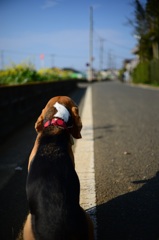 背中で語る