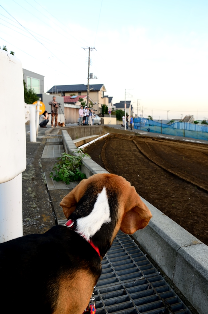 皆なに撮ってんの？