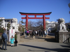 鎌倉鶴岡八幡宮初詣