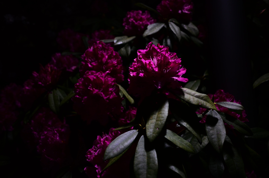 『夜』