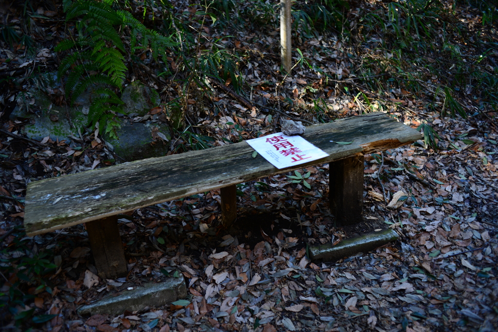 座る勇気が有りますか？