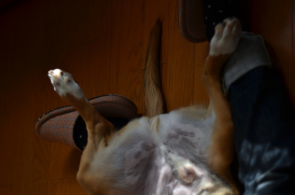 なぜ山に登るの？