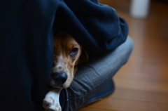 眠いんだ