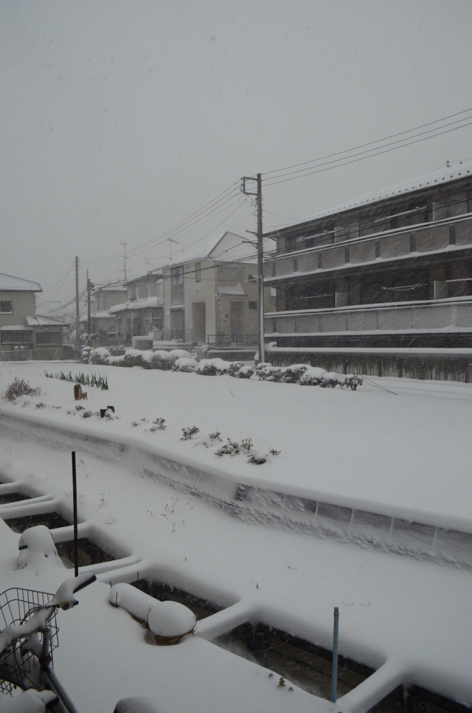 ここは横浜、和泉町。