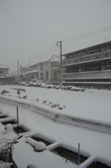 ここは横浜、和泉町。