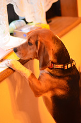 真剣そのもの①