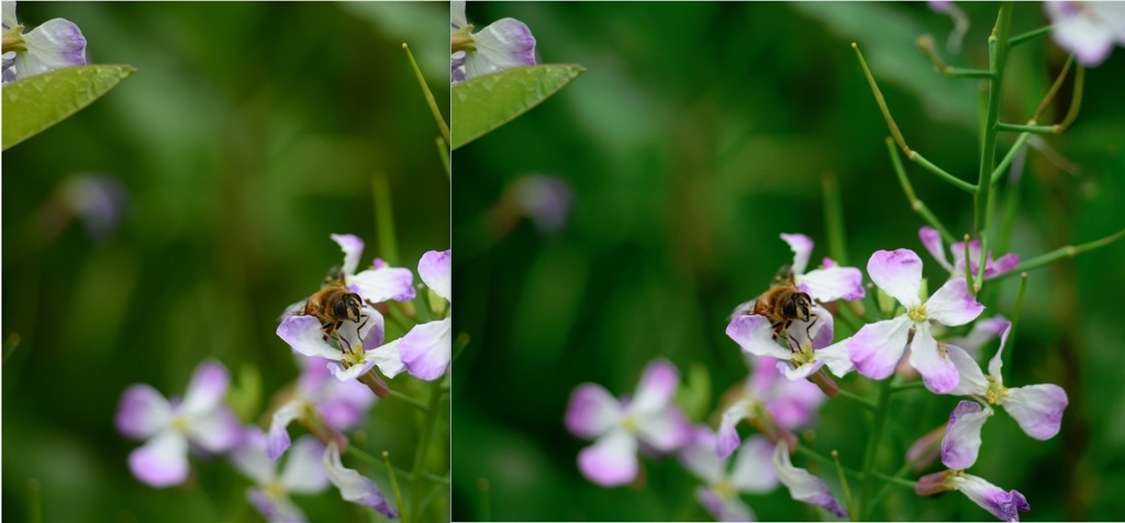 『悶々と』の結論？