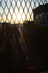 夕陽を浴びる鉄路