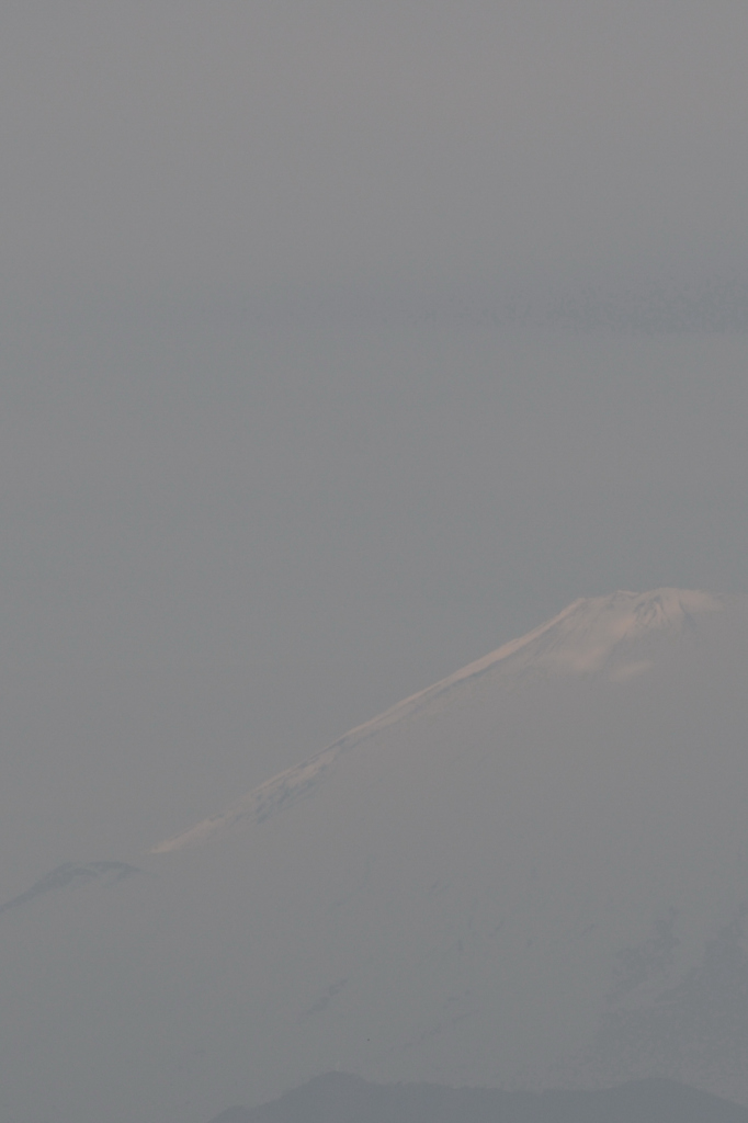 富岳