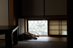 和室にて...