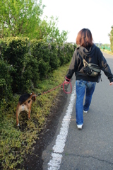 小さい幸せ