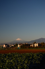 富士と畑と養豚場