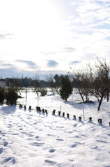 和泉町雪景色_弐
