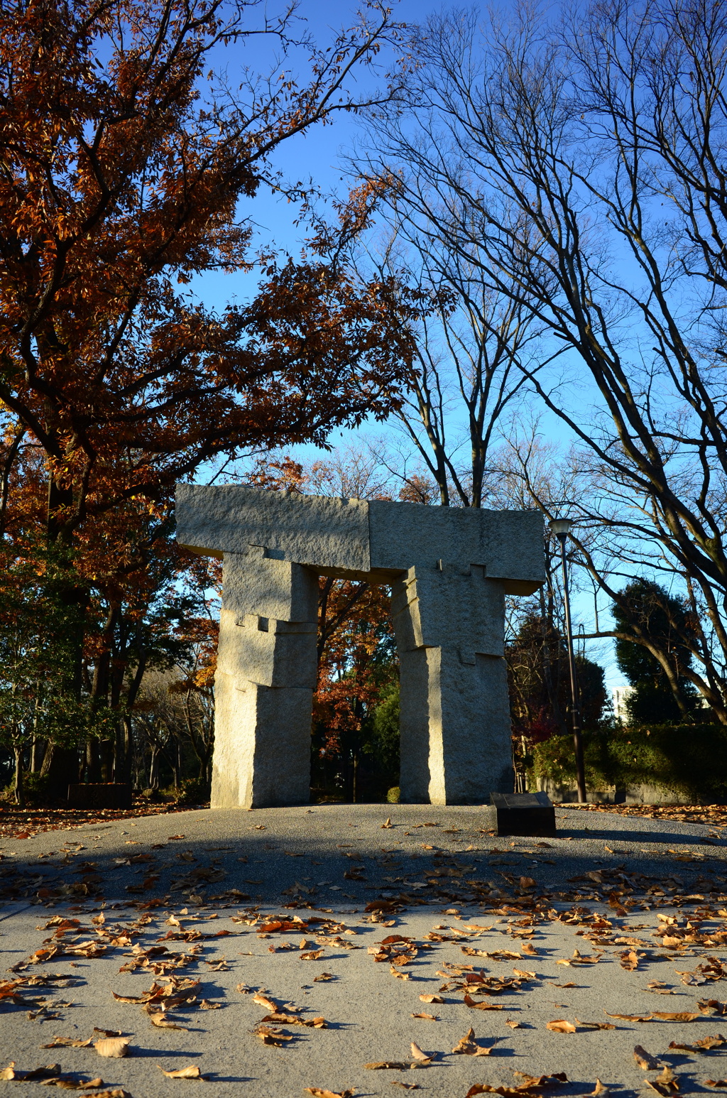 冬の公園