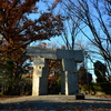 冬の公園