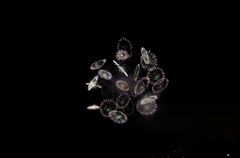 諏訪湖の花火その①